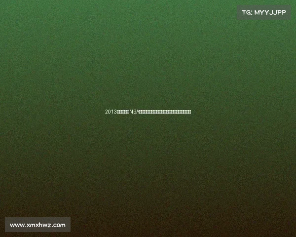 2013金州勇士队NBA赛季赛事全程精彩回顾辉煌战绩与激情瞬间分享