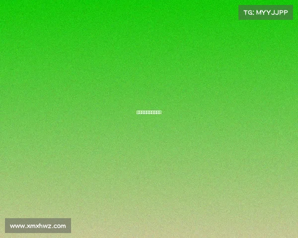 拉力赛赛事有几个赛区 拉力赛赛事有几个赛区